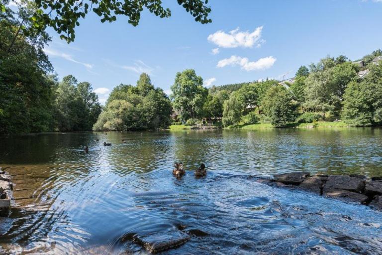 Unterkirnach Schwarzwald-Traum Mit Pool Und Sauna מראה חיצוני תמונה